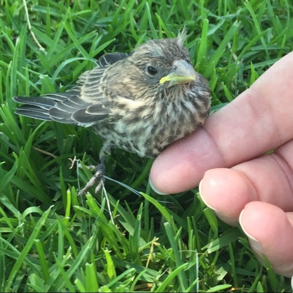 PM Ambassador Original Automated shares & listing- multiple employees- 3 Days wk - Picture 4 of 5